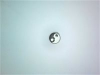 Stechend Studex in Stahl 7512-0600